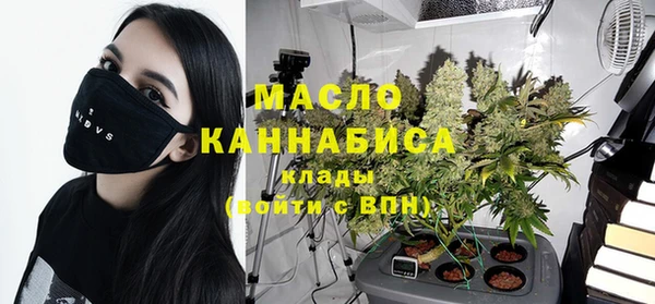 мдпв Ельня
