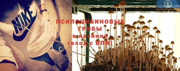 герыч Алексин