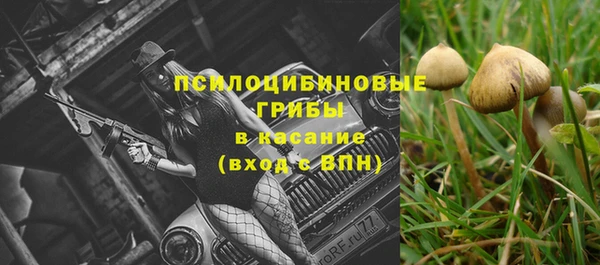 альфа пвп Алексеевка