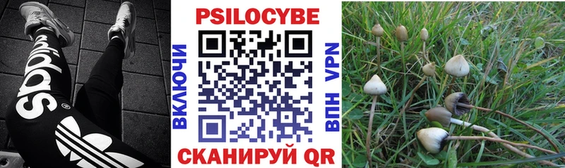 Псилоцибиновые грибы GOLDEN TEACHER  Краснознаменск 