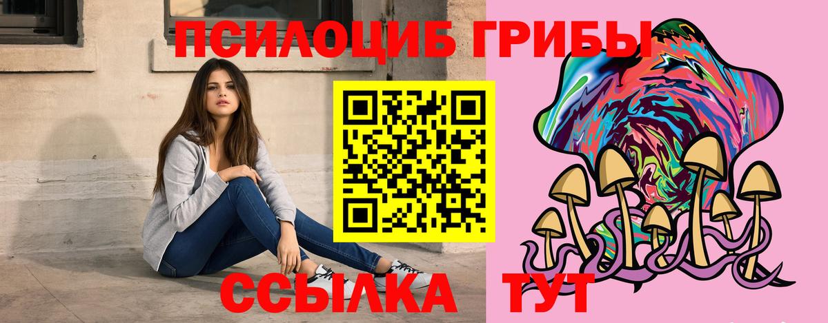 Краснознаменск  Псилоцибиновые грибы Psilocybine cubensis  Вход с VPN 